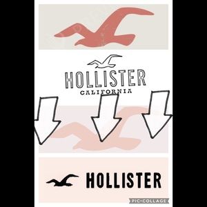 Hollister section